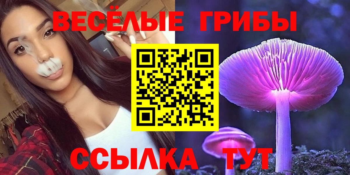 Галлюциногенные грибы Cubensis  Галлюциногенные грибы MAGIC MUSHROOMS  Вход с VPN  Тобольск 